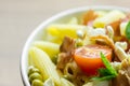 Italian Penne Pasta Salad Royalty Free Stock Photo