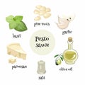 Italian Pesto sauce ingredients. Cartoon vector illustration