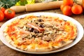 Italian Pizza Capricciosa Royalty Free Stock Photo