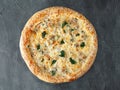 Italian pizza. With chicken, spinach and mushrooms. In creamy sauce, with mozzarella and sulguni cheeses. Wide side. View from Royalty Free Stock Photo