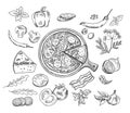 Italian pizza doodle ingredients. Pizzeria food elements sketch, tomato pepperoni cheese mushrooms sliced olives doodles