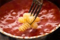 Italian fusilli pasta dipped in tomato and basil sauce