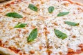 Italian pizza Margherita with cheese and oregano Royalty Free Stock Photo