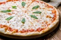 Italian pizza Margherita with cheese and oregano Royalty Free Stock Photo
