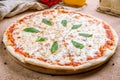 Italian pizza Margherita with cheese and oregano Royalty Free Stock Photo