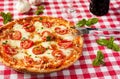 Italian Pizza Margherita Royalty Free Stock Photo