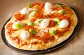 Italian pizza with mozzarella cheese