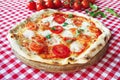 Italian Pizza with Mozzarella, tomatoes and basil Royalty Free Stock Photo