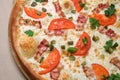 Italian pizza with tomato Royalty Free Stock Photo