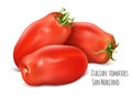 Italian plum tomatoes San Marzano. Royalty Free Stock Photo