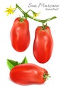 Italian plum tomatoes San Marzano. Royalty Free Stock Photo