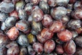 Italian plums