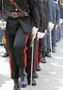 italian police of many italian armed forces in parade