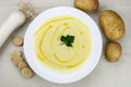 Italian potato and leek soup Royalty Free Stock Photo