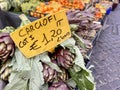 italian price tag on fresh artichokes in market, Italy Royalty Free Stock Photo