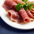 Italian prosciutto crudo or spanish jamon. Jerked meat serrano ham tasty