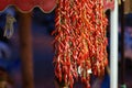 Italian pungent chili in Tropea Calabria