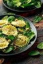 Italian ravioli pasta stuffed with spinach, creamy ricotta cheese. Healthy Vegetarian food Royalty Free Stock Photo