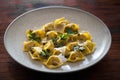 Italian ravioli on white ceramic plate, looking tasty and appetizing with cheese and parsley selective focus on rustic table