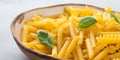 Italian raw short pasta in a dish Royalty Free Stock Photo