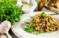 Italian risotto with mushrooms Royalty Free Stock Photo