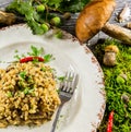 Italian risotto with mushrooms Royalty Free Stock Photo