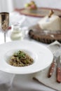 Italian risotto with porcini mushrooms Royalty Free Stock Photo