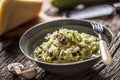 Italian risotto zucchini mushrooms and parmesan in dark plate Royalty Free Stock Photo