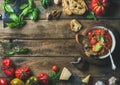 Italian roasted tomato and garlic soup with bread, basil, parmesan Royalty Free Stock Photo