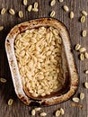 Italian rustic uncooked gnocchetti sardi pasta