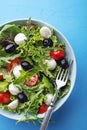 Italian salad with mozzarella, black olives and tomato Royalty Free Stock Photo