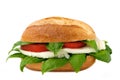 Italian sandwich with fresh buffalo mozzarella Royalty Free Stock Photo