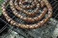 Italian sausage grilled