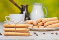 Italian savoiardi cookies or ladybugs cookies on a plate and tied with a rope, a white cup cup of coffee and a jug of milk