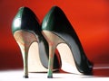 Italian sensual shoes