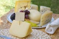 Italian sheep milk cheese- primo sale Royalty Free Stock Photo