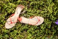 Italian shoes, stylish sandals lie on the grass