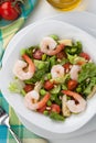 Italian Shrimp Salad