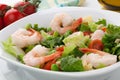 Italian Shrimp Salad