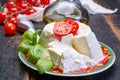 Italian soft cheese, young white ricotta cheese served with fresh basil and tasty ripe cherry tomatoes Royalty Free Stock Photo