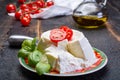 Italian soft cheese, young white ricotta cheese served with fresh basil and tasty ripe cherry tomatoes Royalty Free Stock Photo