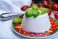 Italian soft cheese, young white ricotta cheese served with fresh basil and tasty ripe cherry tomatoes Royalty Free Stock Photo