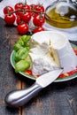 Italian soft cheese, young white ricotta cheese served with fresh basil and tasty ripe cherry tomatoes Royalty Free Stock Photo