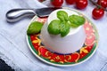 Italian soft cheese, young white ricotta cheese served with fresh basil and tasty ripe cherry tomatoes Royalty Free Stock Photo