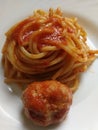 Italian spagetti pasta and meetball with tomato sauce