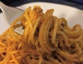 Spaghetti bolognese with cheese on a fork, close up. Royalty Free Stock Photo