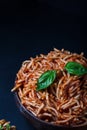 Italian spaghetti with a bolognese tomato meat sauce and basil in a plate. Royalty Free Stock Photo