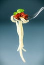 Italian spaghetti on a fork Royalty Free Stock Photo