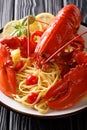 Italian spaghetti pasta with seafood lobster meat, tomatoes and Royalty Free Stock Photo