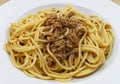 Italian spaghetti with tuna on white dish Royalty Free Stock Photo